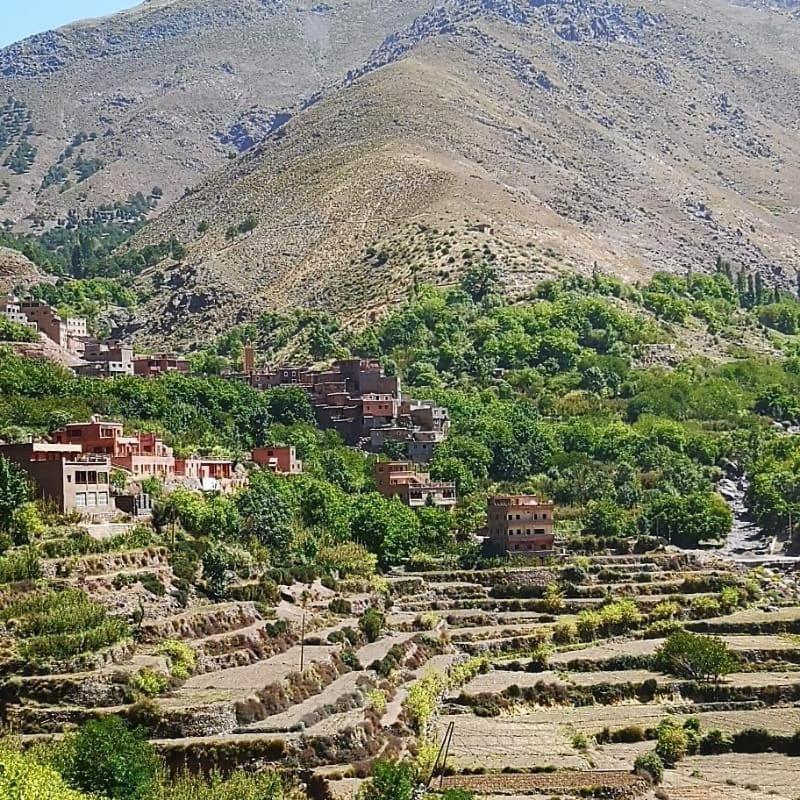 Riad Toubkal *